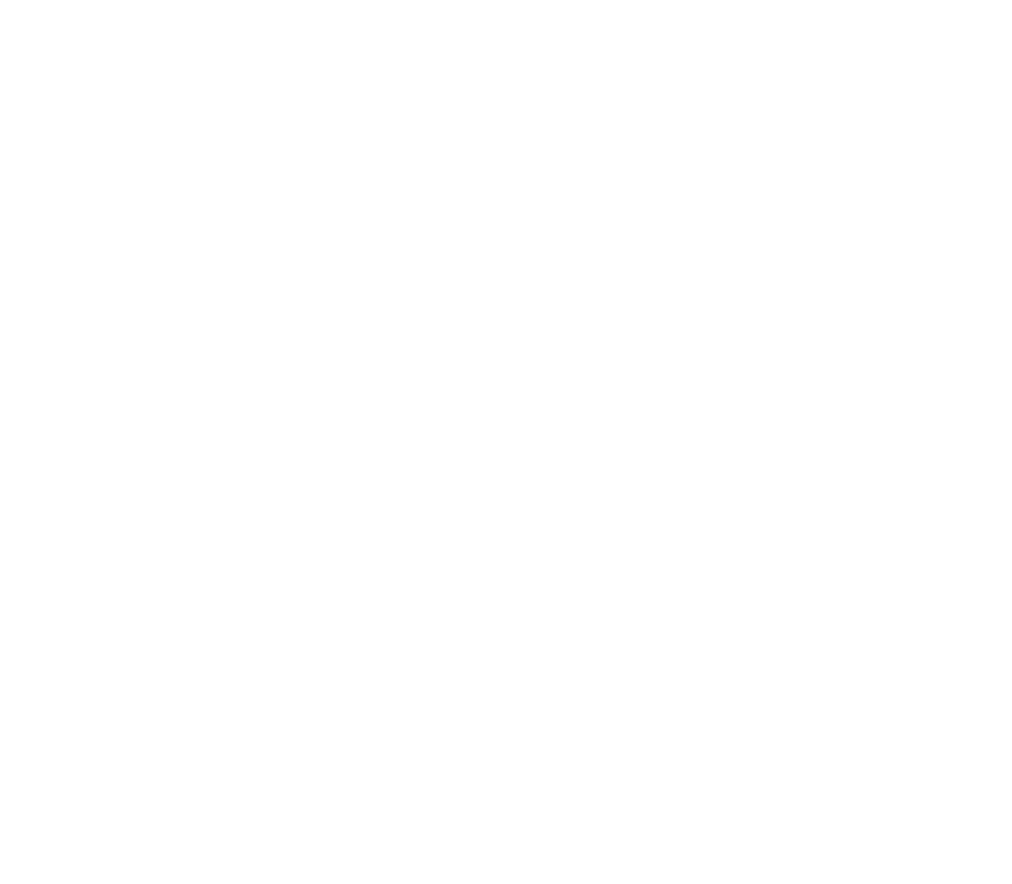 Logo PT Rizky Indra Transindo